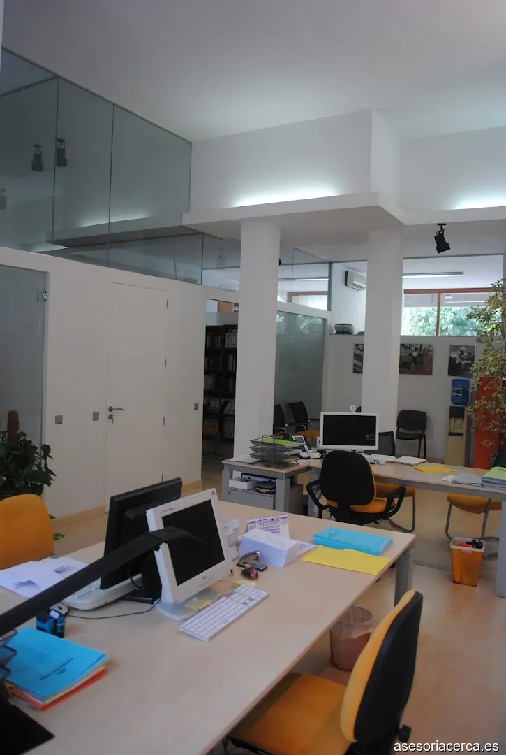 Benavides Asociados | Asesoria Fiscal | Gestoria en Pollenca