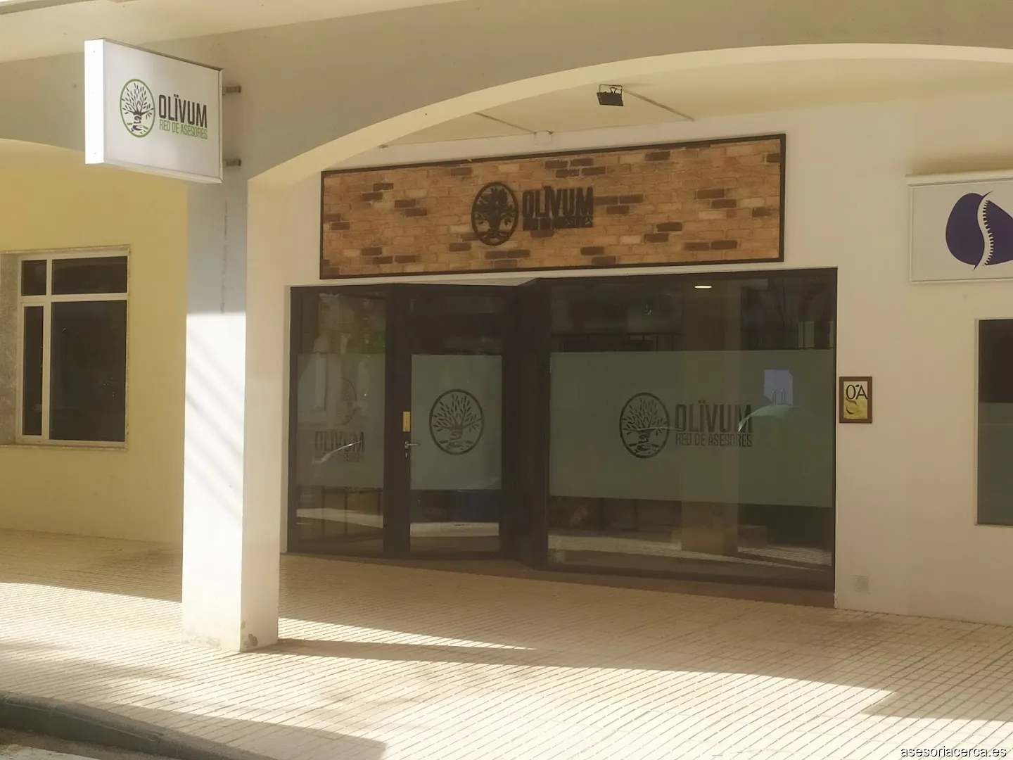 Olivum Red de Asesores