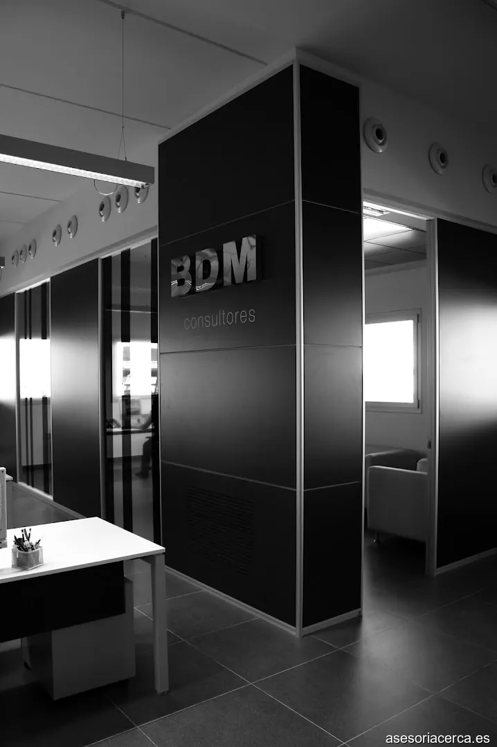 BDM Consultores - Benicarlo