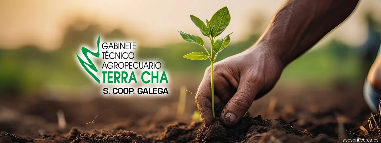 GABINETE TECNICO AGROPECUARIO TERRA CHA