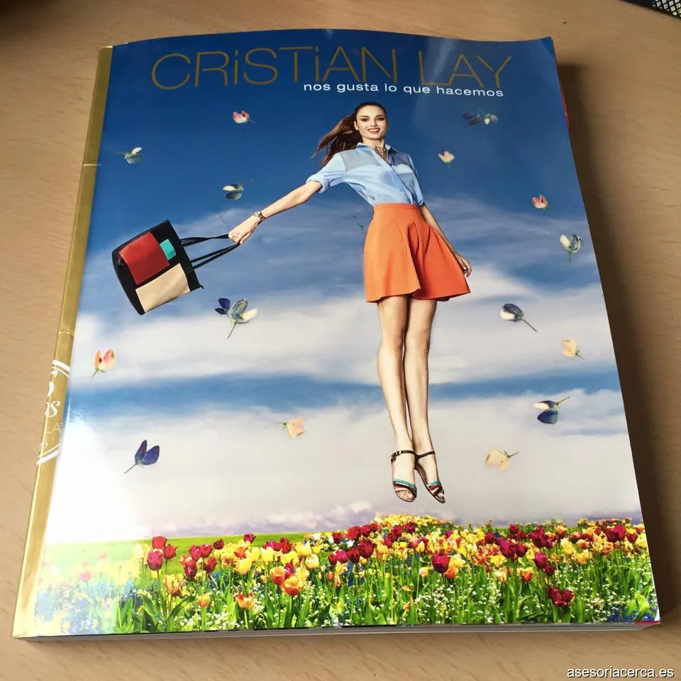 Cristian Lay Asesores