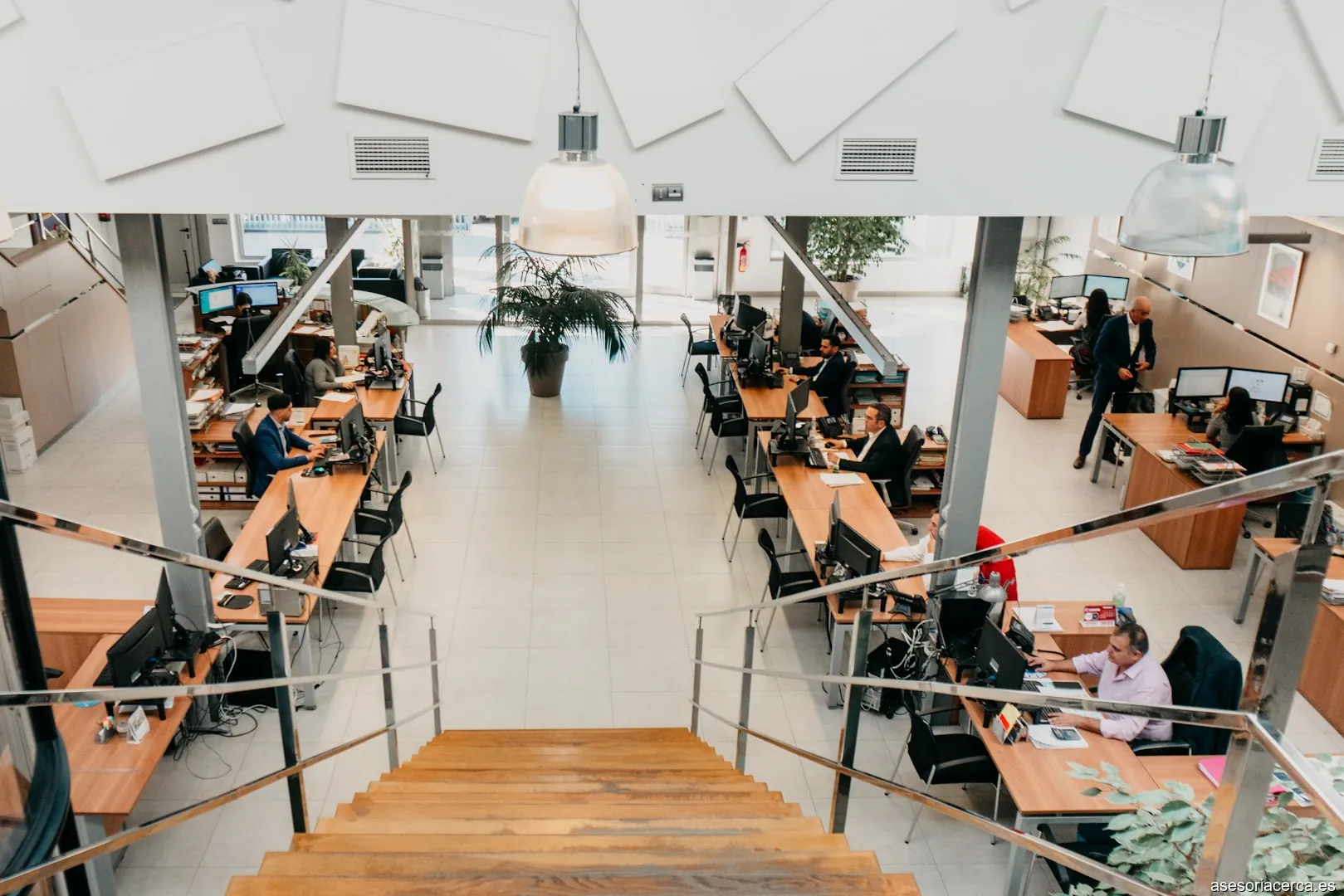 ASINCO Abogados y Asesores SLP