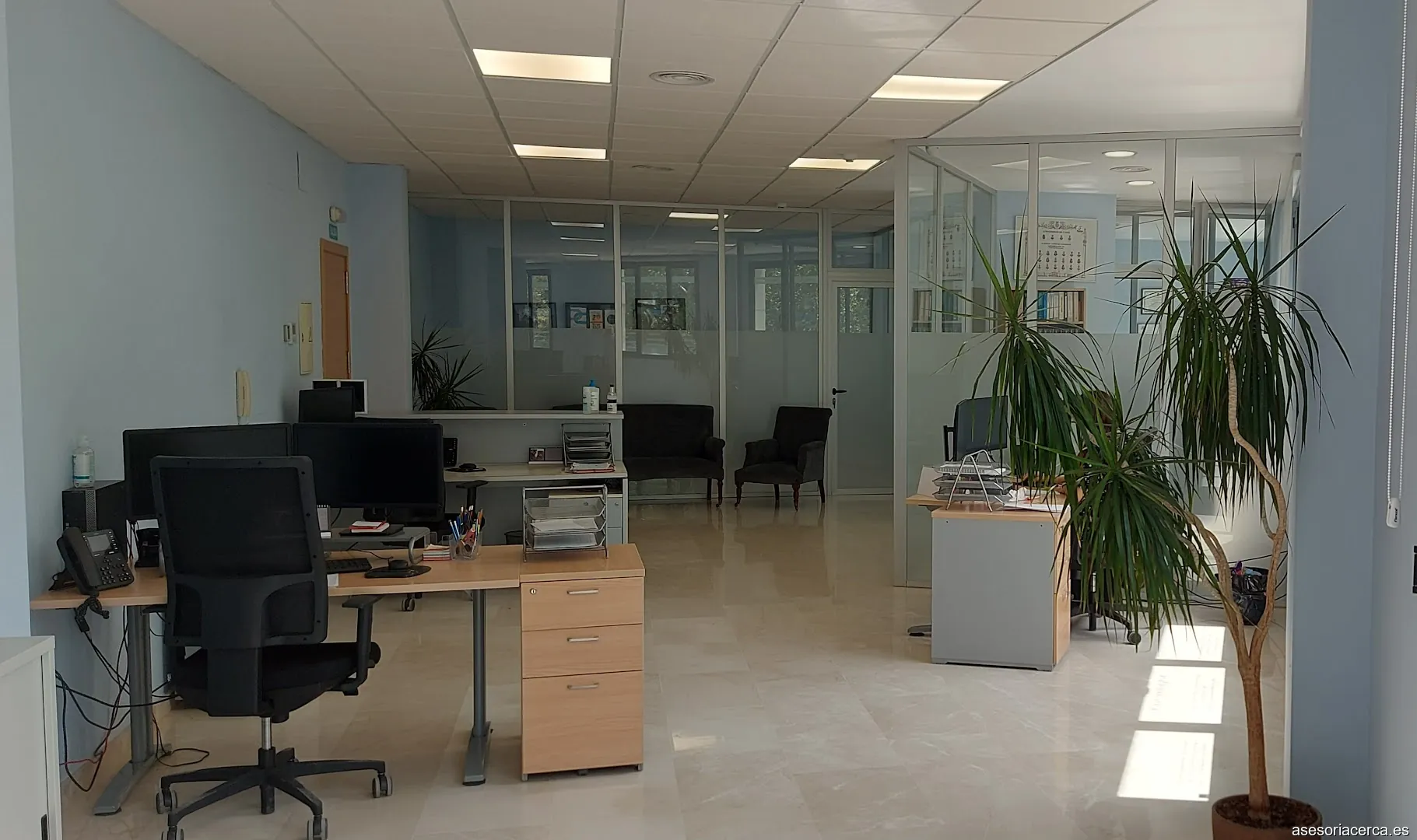 Foresight Consultancy