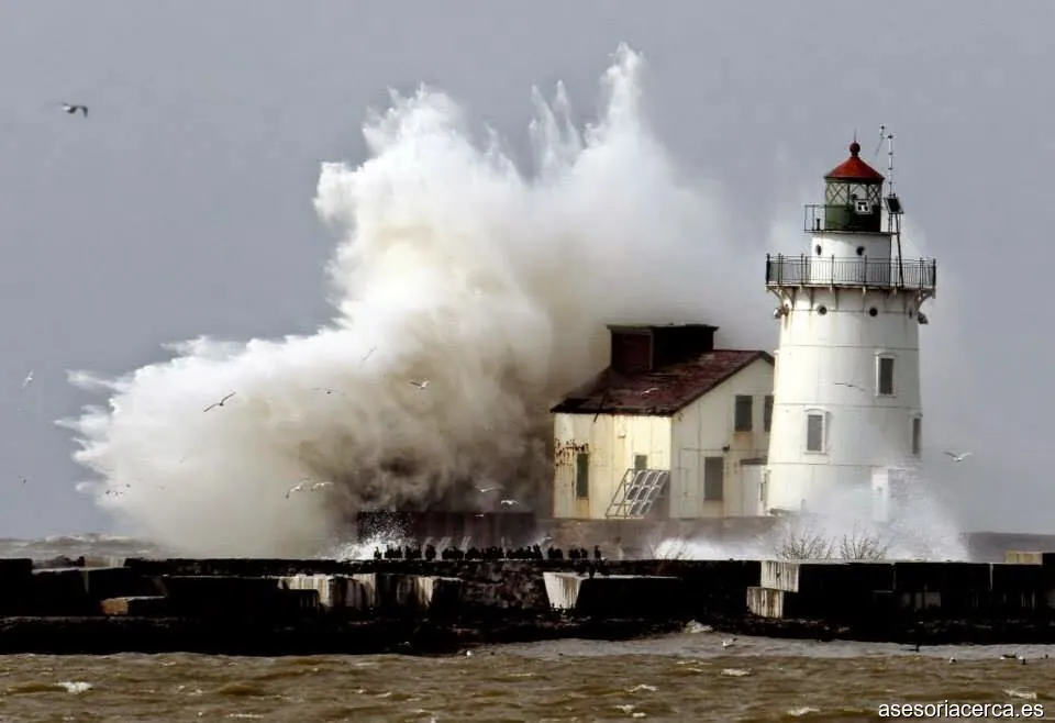 Ruiz Mesa & Asociados S.L. Gestoria Ruiz Mesa