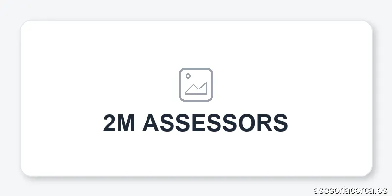 2M ASSESSORS