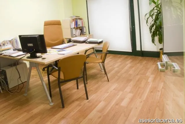 Palacin Asesores S.L.