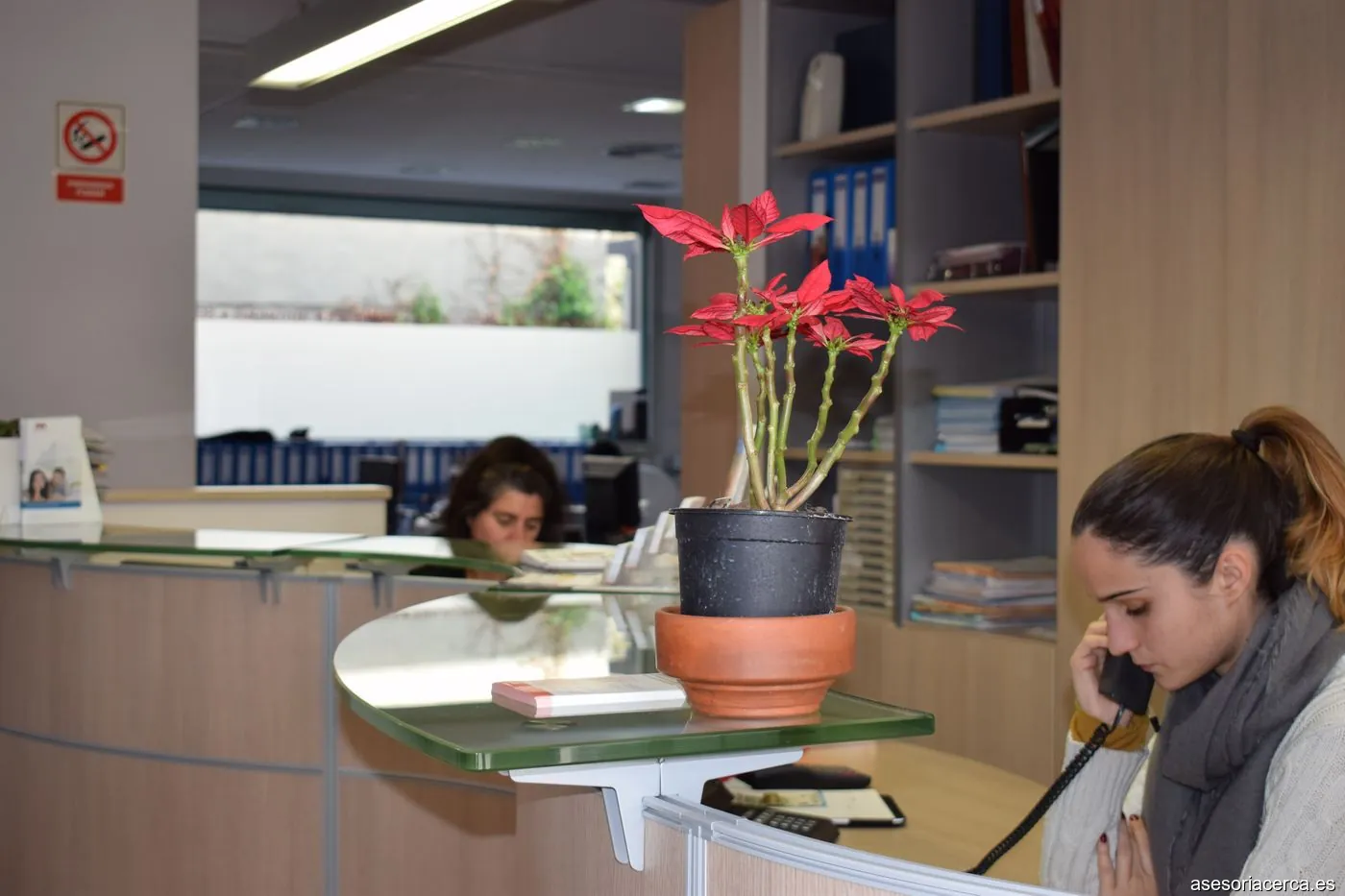 Assessoria i Finques Mata i Fills, S.L.