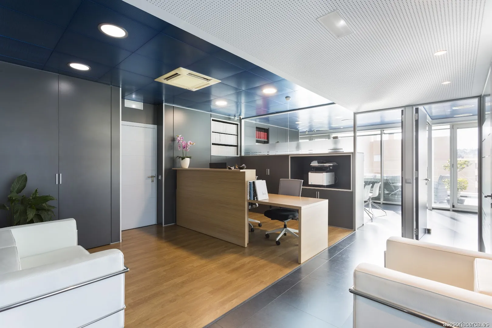 Dley, foro de asesores