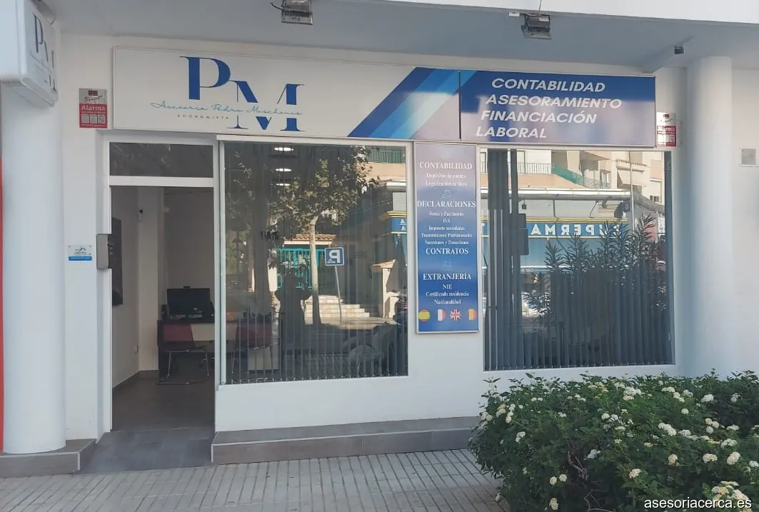 Asesoria Pedro Moschonis