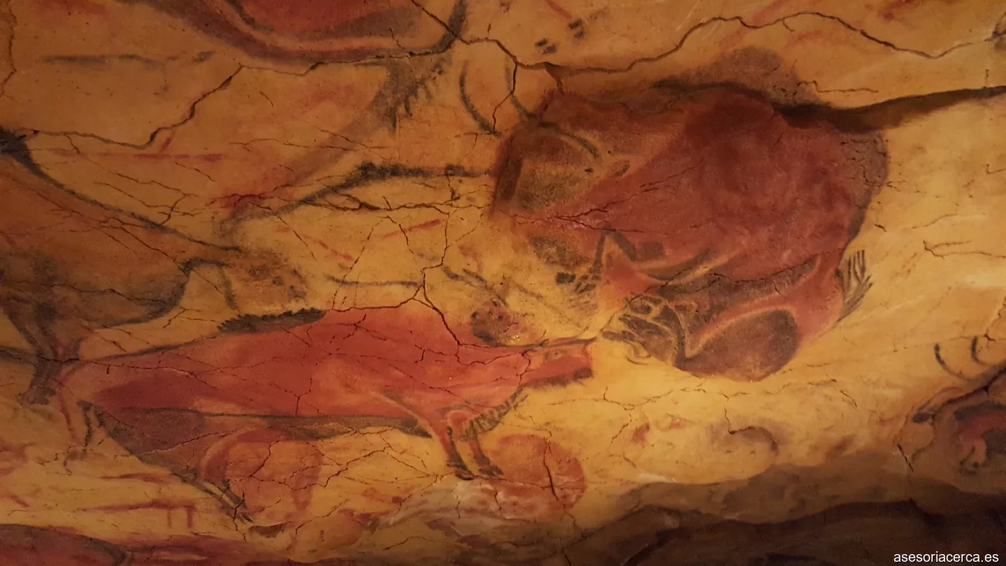 Q10 Consultores & asesores