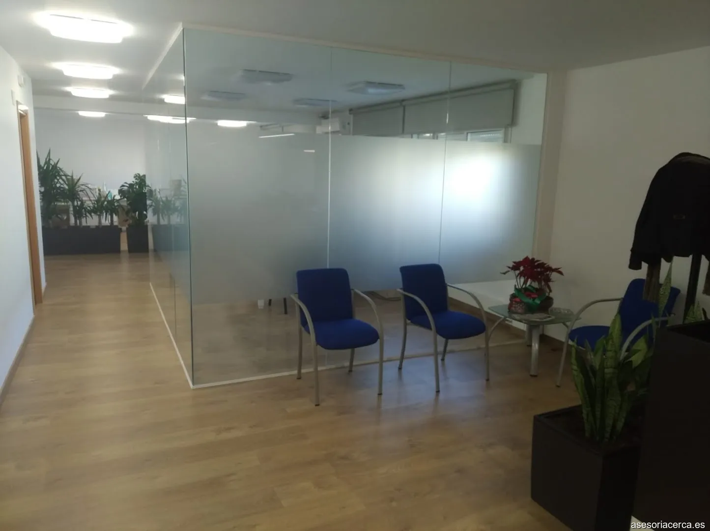 VIDIELLA Consultoria Empresarial SLP