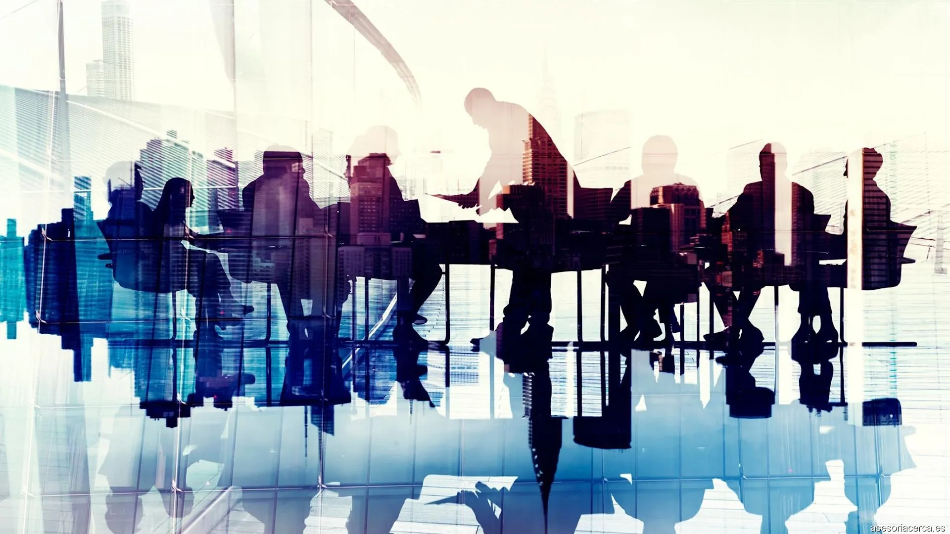 Tecfis Asesoria Gestion Sl