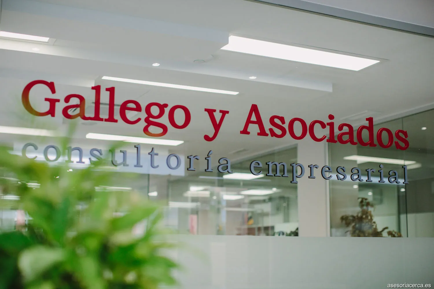 Gallego y Asociados