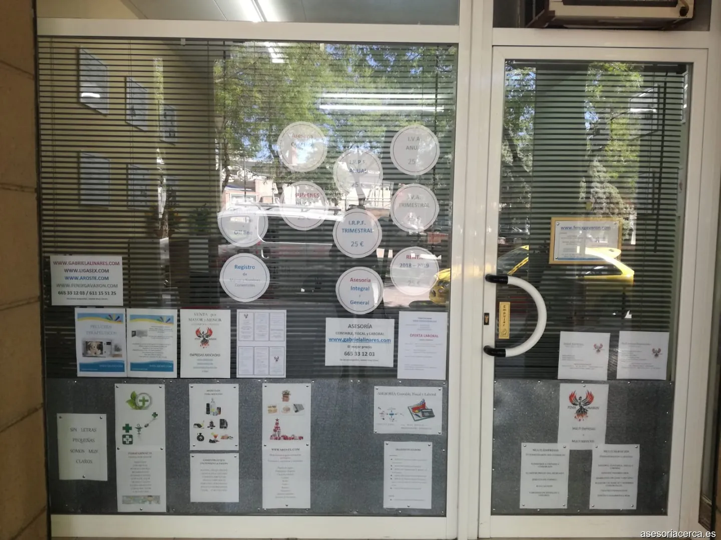 Asesoria FENIX GAVARON