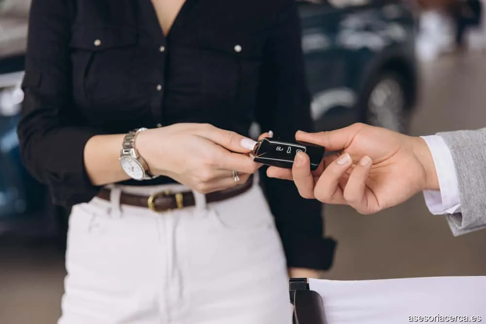 Asesoria y Gestoria Los Lirios