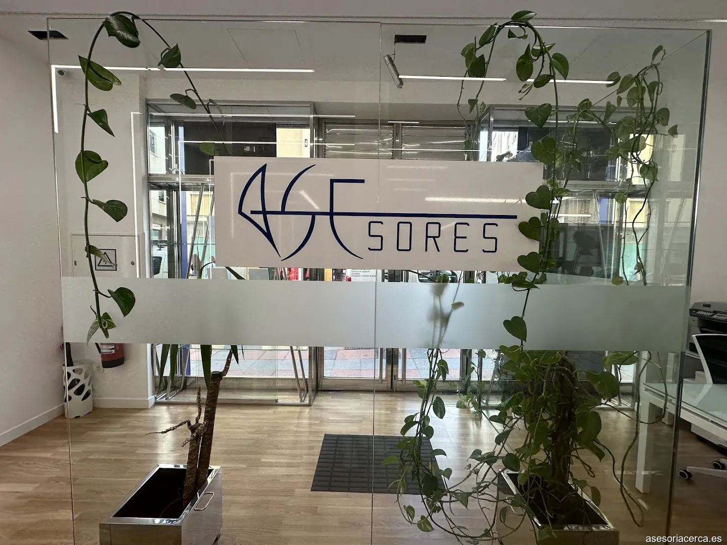 Asesores De Empresas Y Profesionales S L