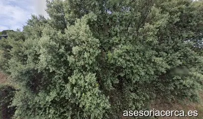 Asesoria Eurosierra S L