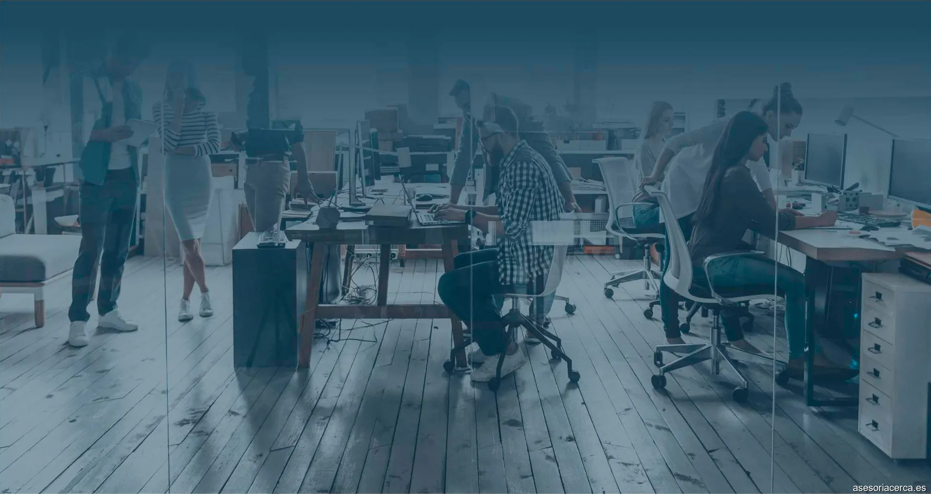 Hoy Asesores: Servicios Online