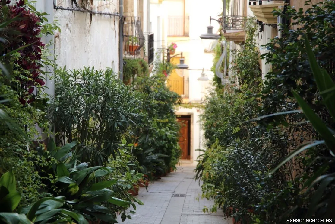 Asesores Yolanda Castilla