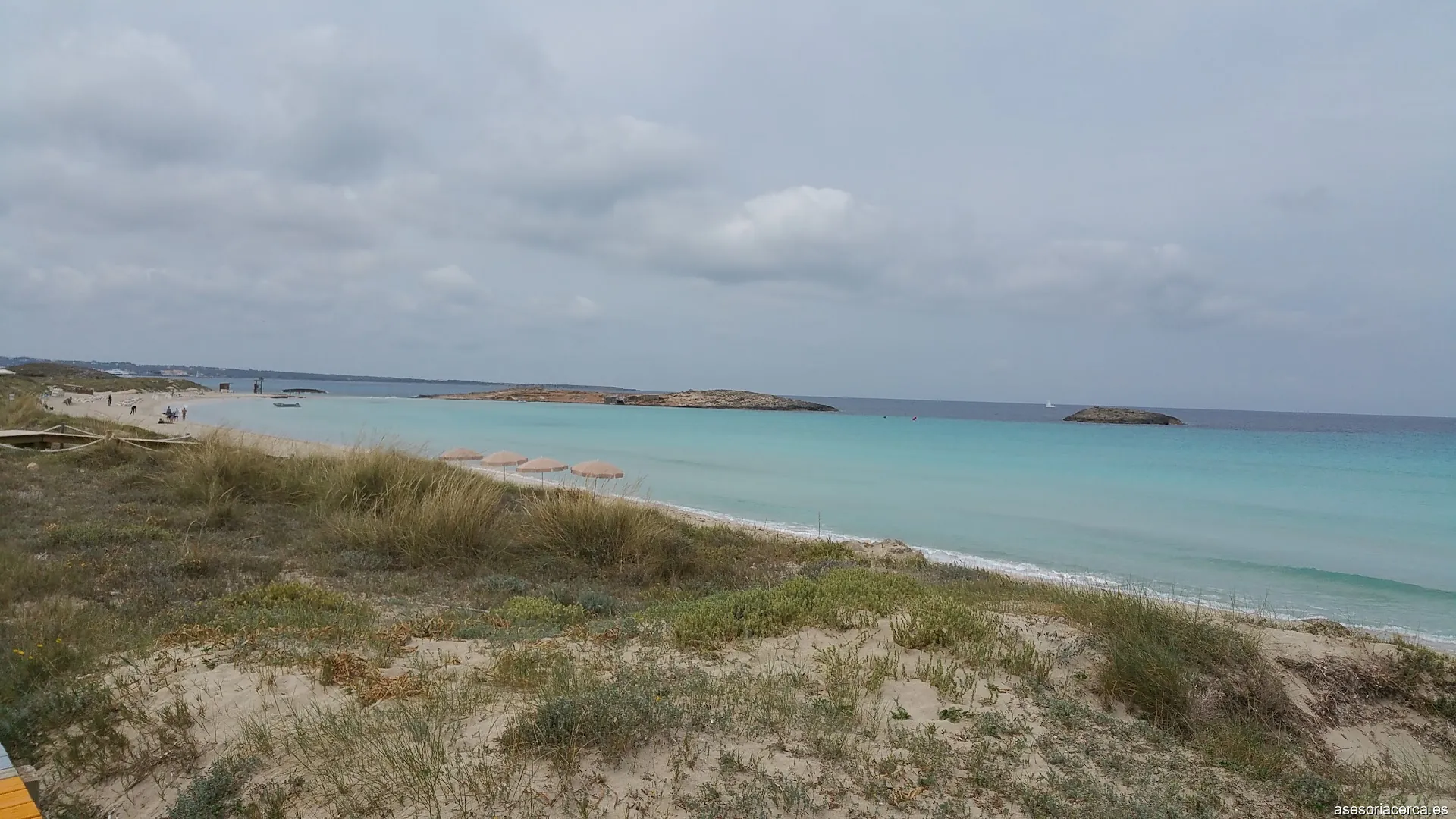 Serra Mayans Assessors