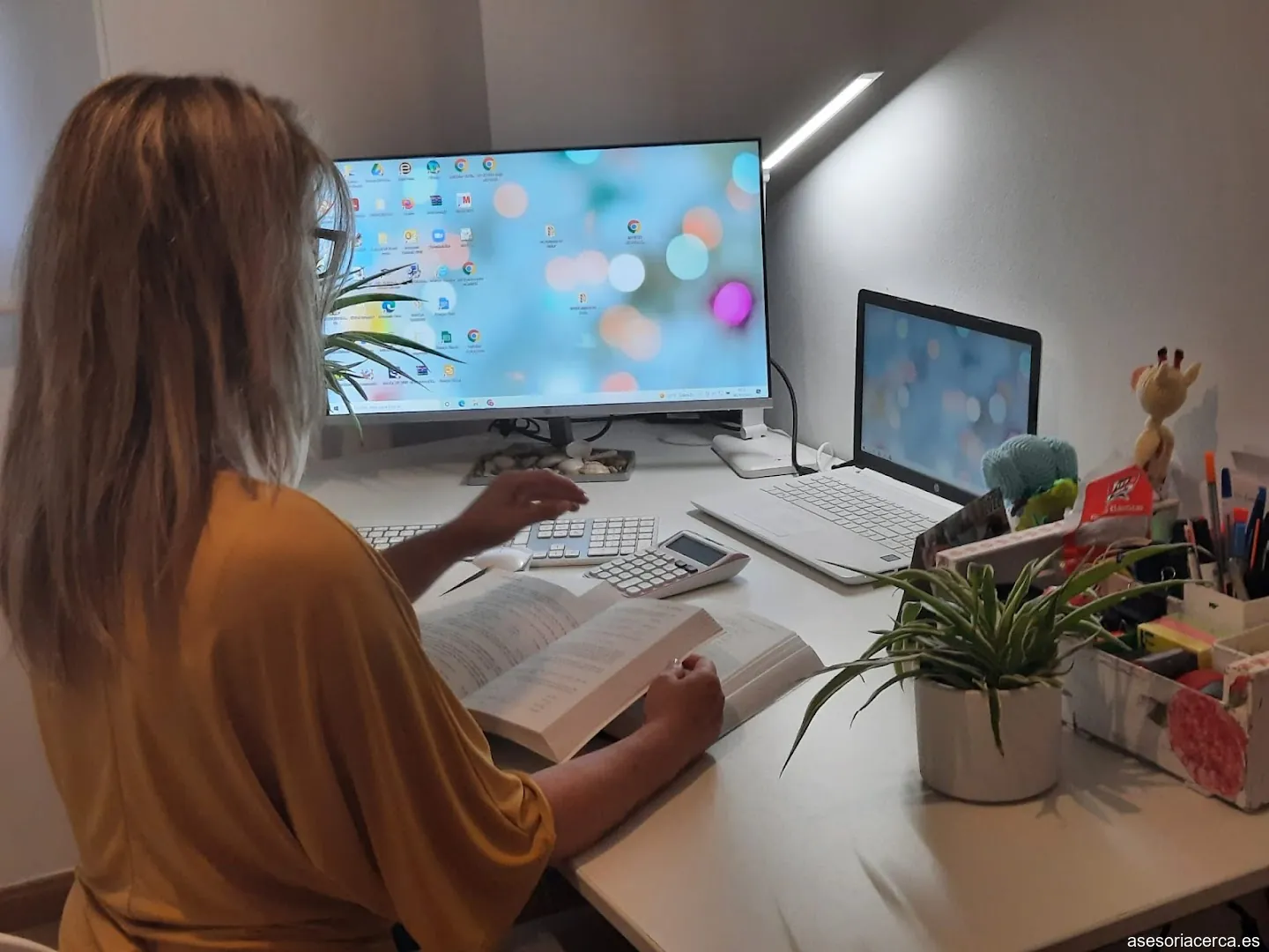 ASESORIA GESTORIA EN VALDEMORO - FISCAL- LABORAL - CONTABLE - VANESA GARRIDO