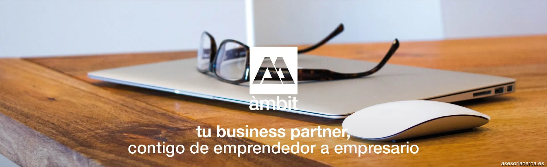 Ambit Assessor