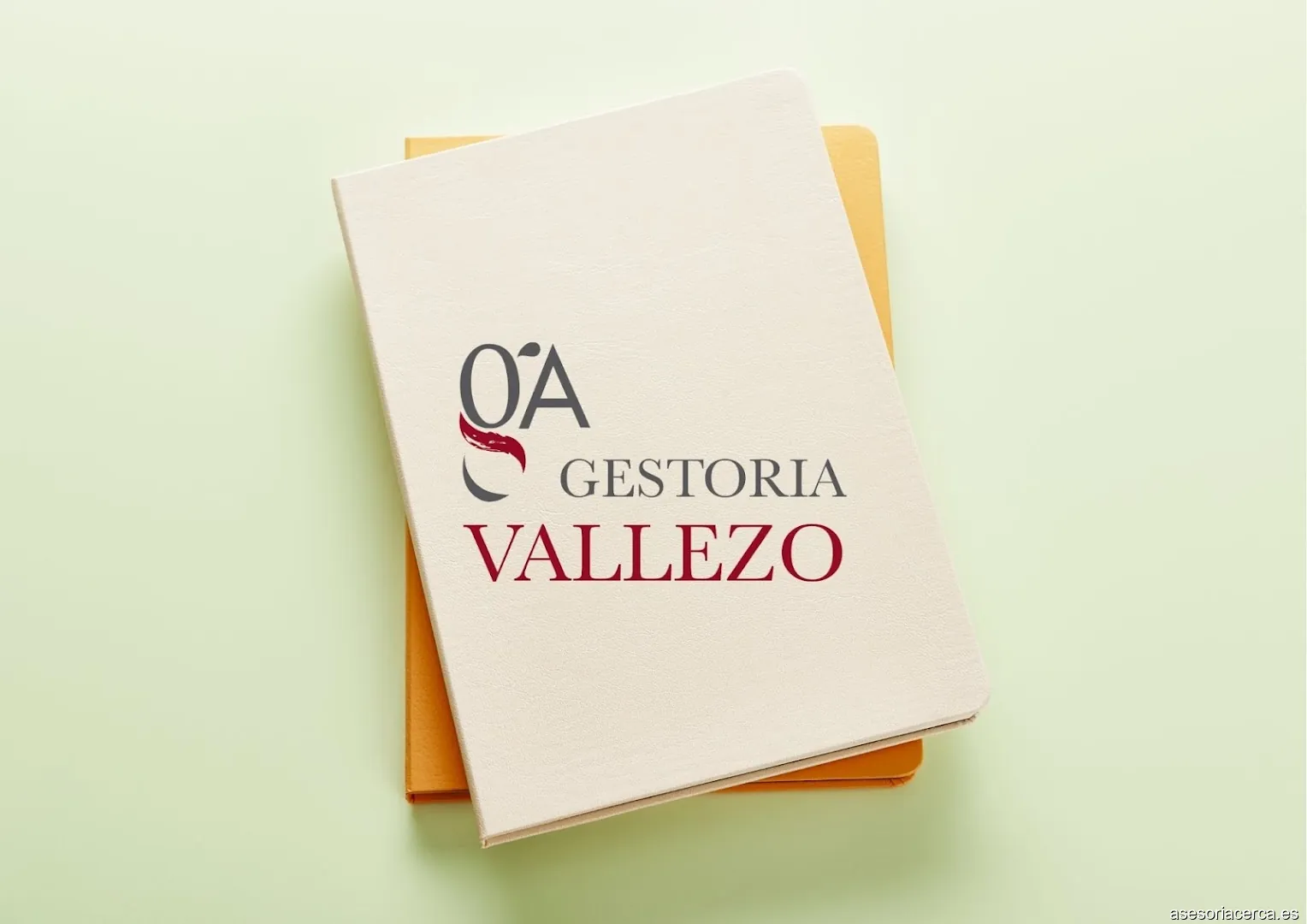 Gestoria Vallezo