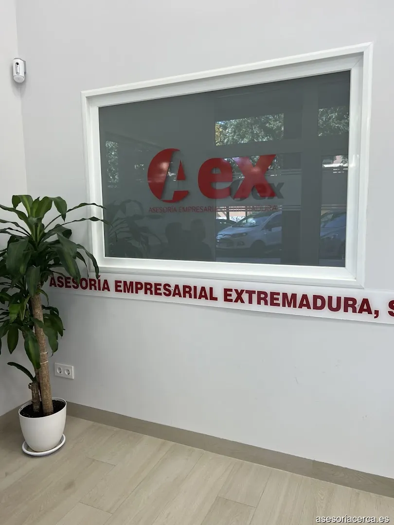 Asesoria Aex