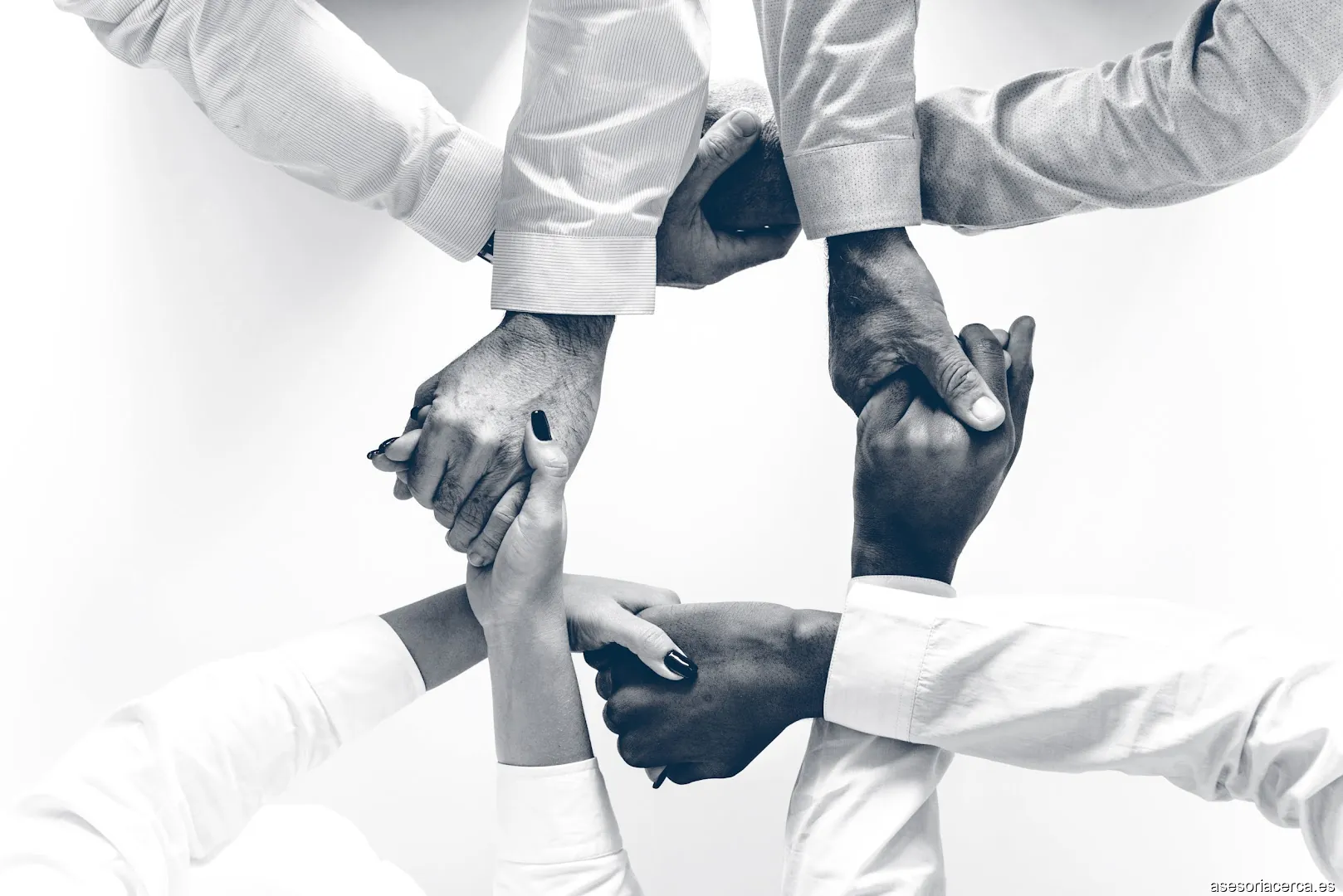 Segu Assessors Advocats i Economistes, SL