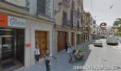 ASESS CONSULTORIA FINANCIERO FISCAL S.L.