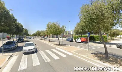 PANIZA Y CAPELLAN ASESORES SL