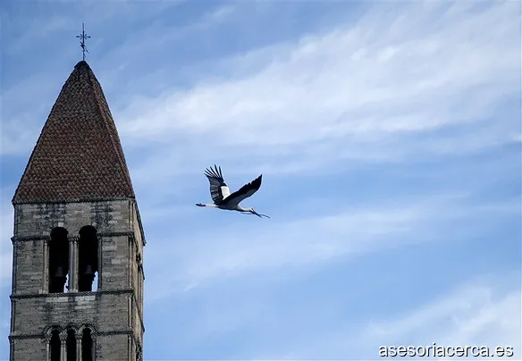 Raquel Garcia Garcia