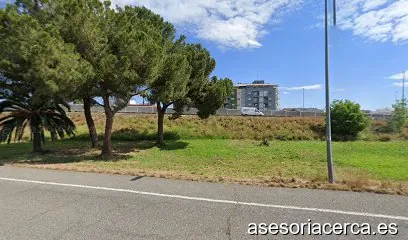 ABOGADOS Y CONSULTORES GSM