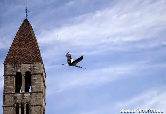 AVANZA, Asesoria de empresas