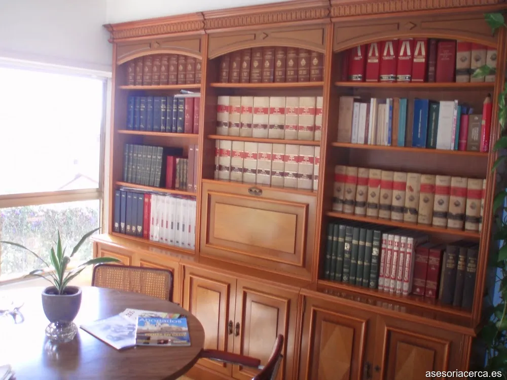 Asesoria Camelias Fiscal Laboral Contable Juridico