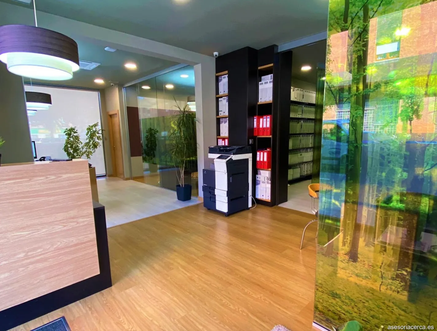 Ace Asesores y Consultores