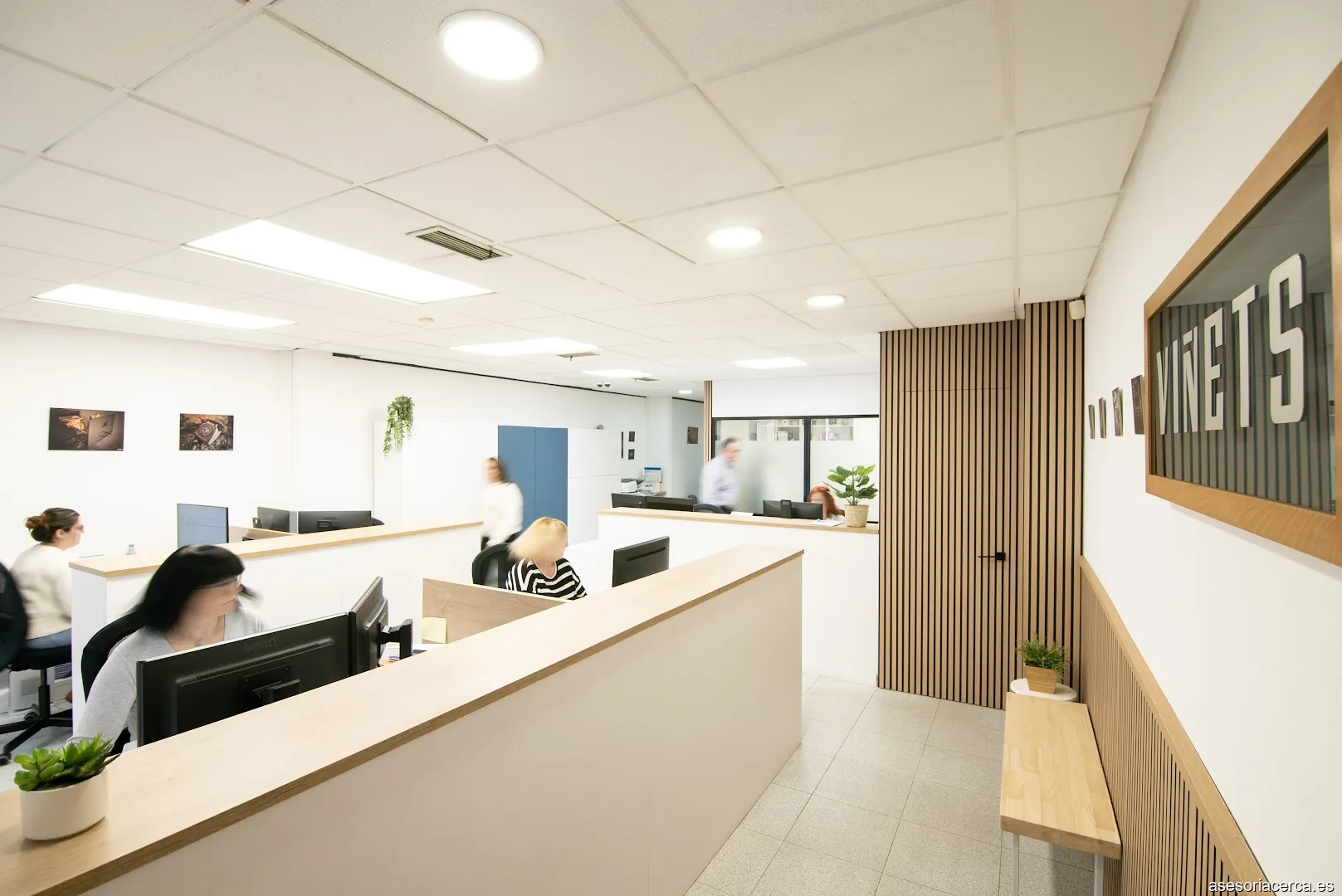 Vinets Assessorament