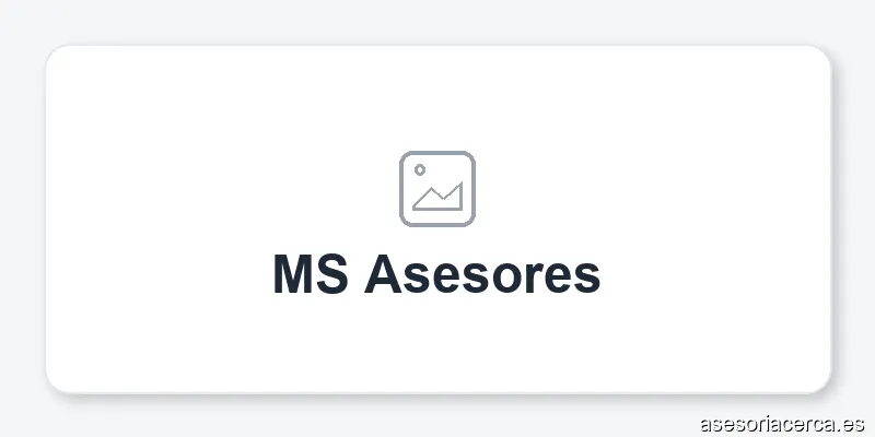 MS Asesores
