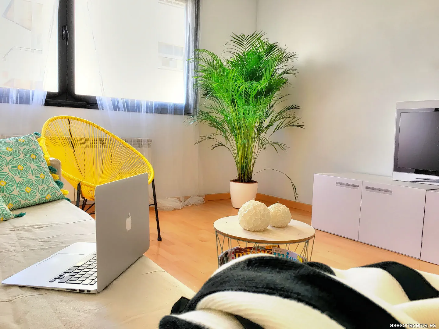 Grupo Alpama / Inmobiliaria * Abogados * Asesoria / Tudela