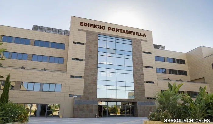 Consultoritas Asesores de Negocio