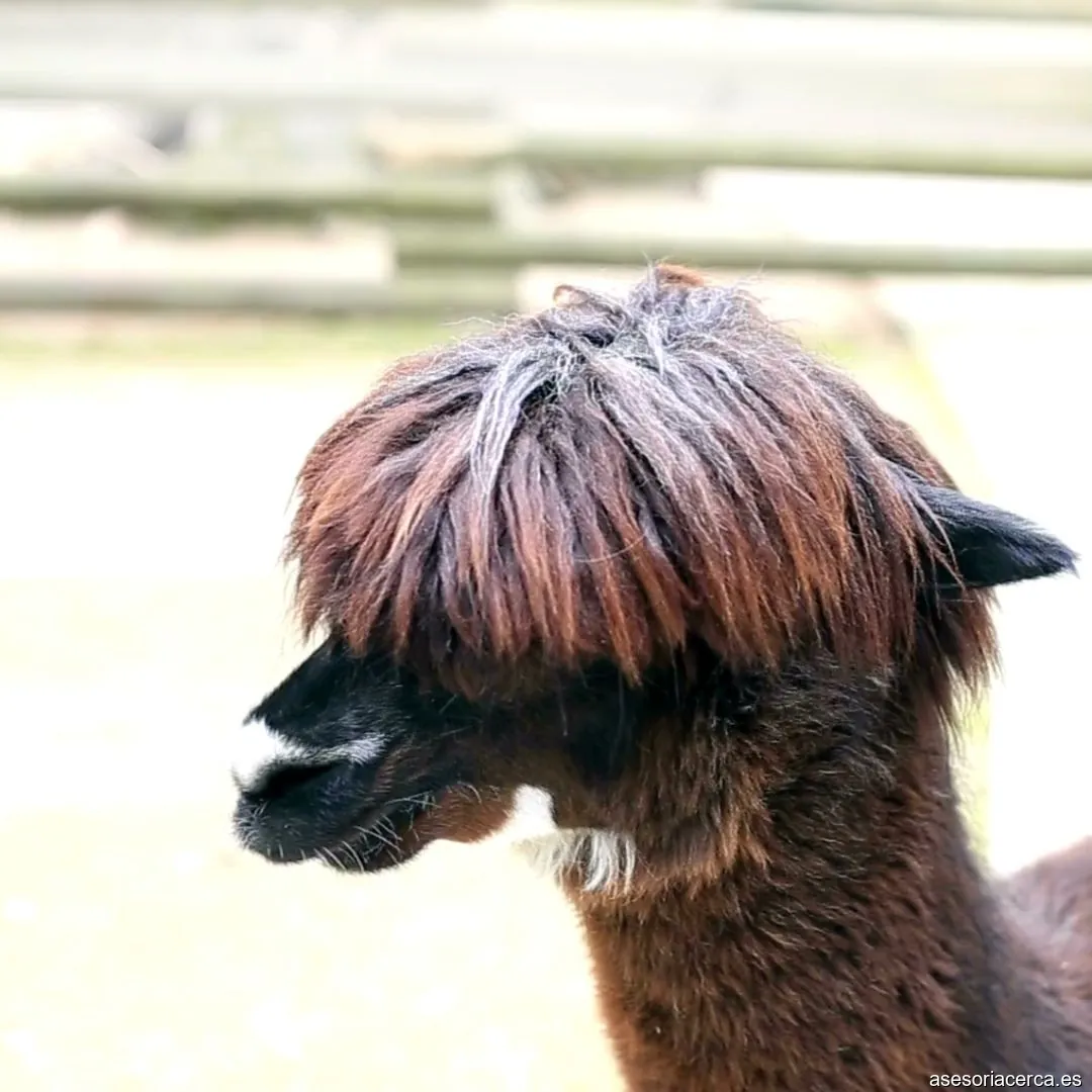 Noantri Soluciones SL.