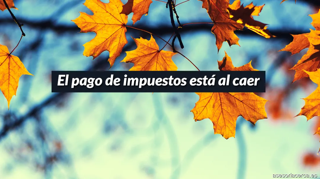 Ficomsa Servicios Financieros