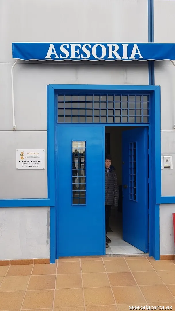 Asesoria Cosegesa