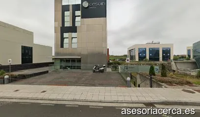 Innpulsa Consultores