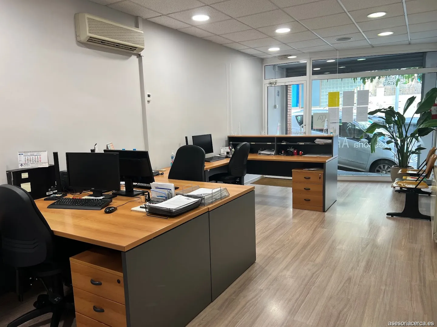 Arbo Masnou Assessoria SL