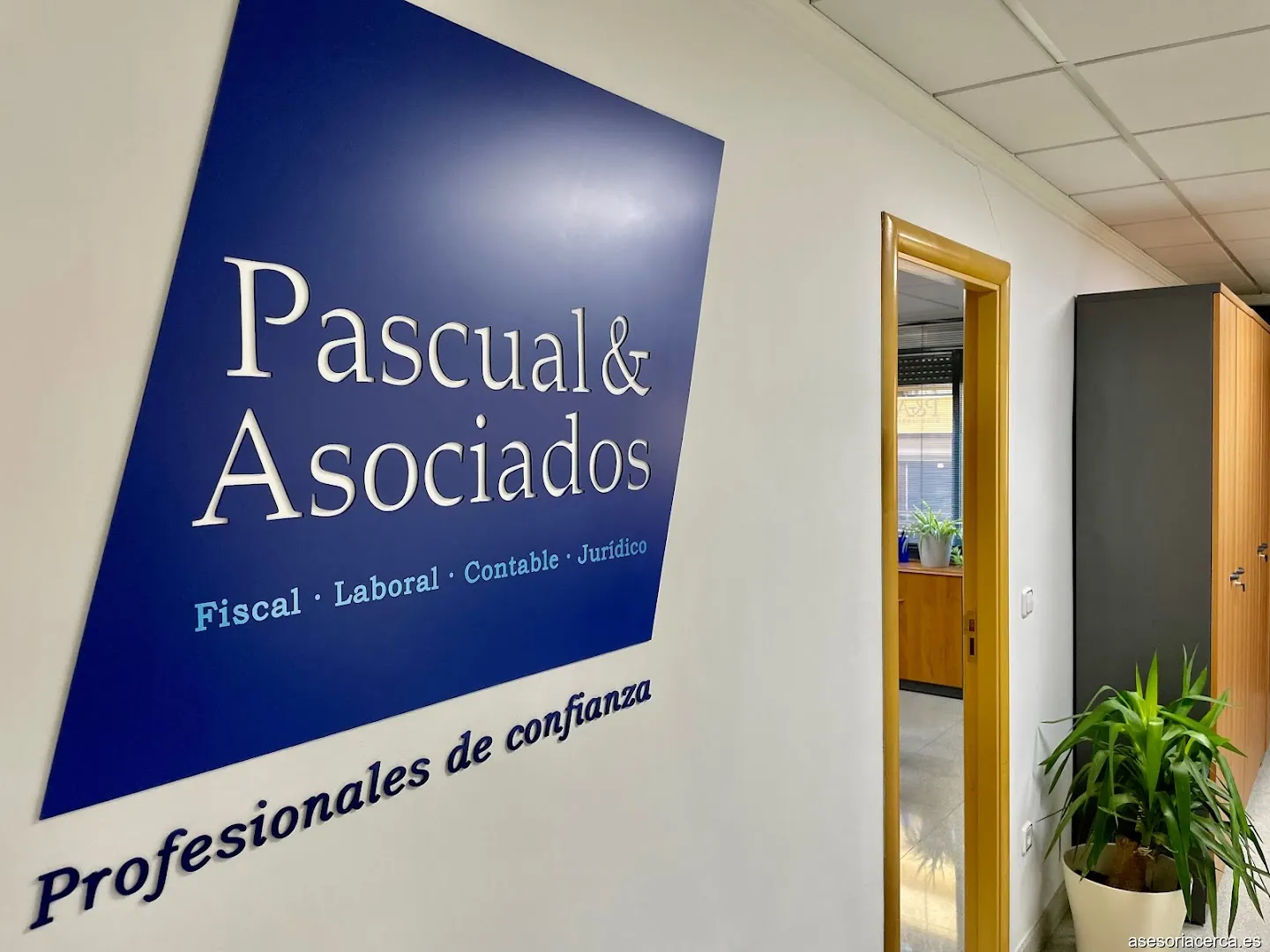 Pascual Y Asociados S L