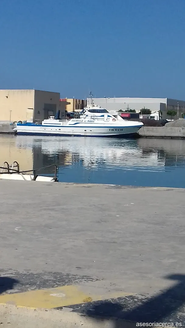 Gestoria Martin Sanchez