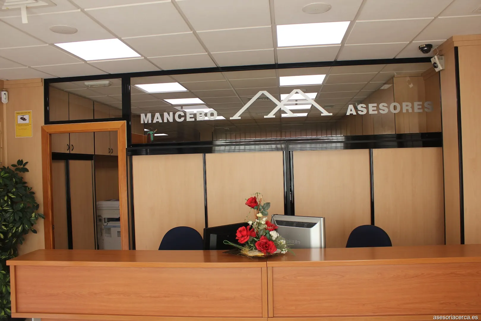 Imagen 2
